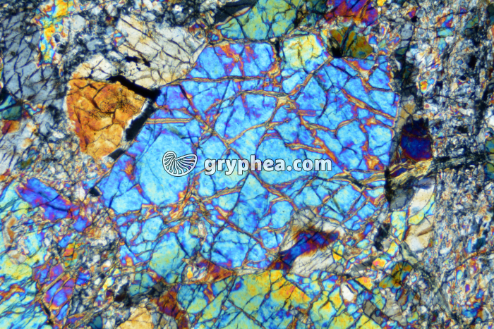 Péridotite serpentinisée LPA x25 - gryphea.com